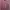 Minimalist Formal shirt Pria purple photo 1