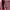Top Ten Indie Casual Fleece Pria burgundy navy photo 5