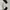 Nike Vintage Windbreaker Pria white black photo 8