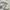 Nike Vintage Windbreaker Pria white black photo 7