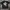 Stussy Streetwear T-shirt Pria White Black