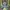 Vintage Streetwear Hat Pria Multicolor