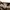 Lafuma Sportswear Casual Hat Pria tan photo 7