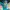 Adidas Luxury Casual Bomber jacket Wanita multicolor photo 3