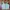 H&M Y2K Crop Top Wanita Blue