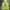 Y-3 Luxury Hoody Pria cream yellow photo 1
