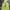 Y-3 Luxury Hoody Pria Cream Yellow