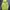 Y-3 Luxury Hoody Pria cream yellow photo 2