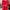 Sportswear Minimalist T-shirt Pria Red
