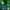 Adidas Sportswear Jersey Pria green photo 3