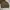 Vintage Harrington jacket Pria brown photo 1