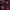 Adidas Sportswear Jersey Pria burgundy red photo 4