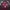 Adidas Sportswear Jersey Pria Burgundy Red