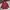 Casual Parka Wanita burgundy photo 1