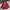 Casual Parka Wanita Burgundy