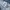Minimalist Short Wanita navy photo 5