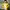 Mizuno Sportswear Track Jacket Wanita Yellow