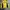 Mizuno Sportswear Track jacket Wanita yellow photo 4