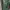 Casual Culotte Wanita green photo 1