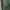 Casual Culotte Wanita Green