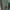 Casual Culotte Wanita green photo 2