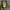 The North Face Streetwear Bag Pria black yellow photo 1