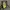 The North Face Streetwear Bag Pria Black Yellow