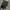 The North Face Streetwear Bag Pria black yellow photo 2