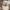 Carhartt Vintage Hat Pria cream photo 1
