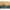 Luxury Casual Sunglass Pria gold black photo 4