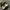 Nike Air Jordan Sportswear Sneakers Pria white photo 5
