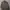 Casual Harrington jacket Pria tan photo 1
