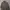 Casual Harrington Jacket Pria Tan