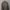 Casual Harrington jacket Pria tan photo 2