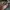 Gucci Luxury Tote bag Wanita brown photo 8
