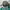 Streetwear Casual Hat Pria green tan photo 2