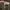 Adidas Streetwear Casual Sneakers Wanita multicolor green photo 3