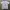 Made in USA Vintage Streetwear T-shirt Pria white photo 6