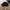 Adidas Y2K Gorpcore Hat Pria Black