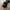 Adidas Y2K Gorpcore Hat Pria black photo 1