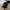 Adidas Y2K Gorpcore Hat Pria Black