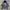CPFM Streetwear Skater Hoody Pria silver gray photo 1