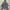 CPFM Streetwear Skater Hoody Pria silver gray photo 5