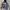 CPFM Streetwear Skater Hoody Pria silver gray photo 2