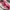 Nike Sportswear Sneakers Wanita pink photo 3