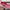 Nike Sportswear Sneakers Wanita pink photo 1
