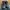 Timberland Streetwear Casual Boots Pria brown photo 2