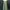 Casual Evening dress Wanita green photo 2