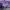 Streetwear T-shirt Pria purple photo 6