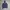 Harley Davidson Vintage Biker Hoody Pria Blue